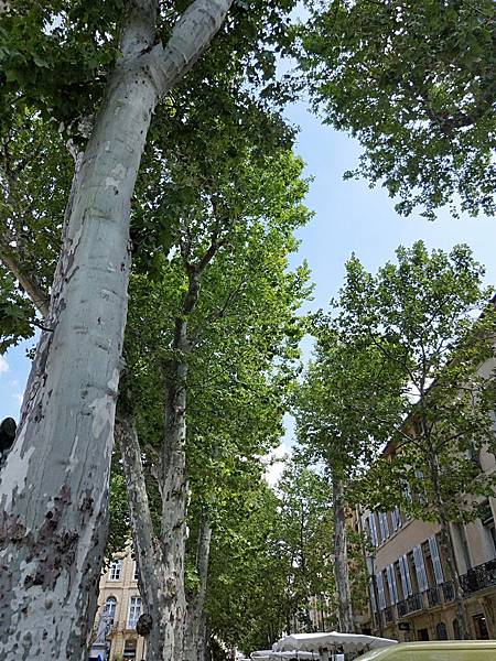 line_79380002104405.jpg line_79380002104405.jpg