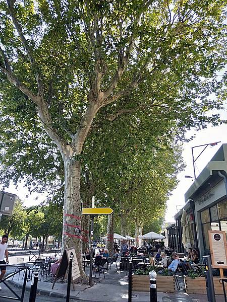 IMG20190824174144.jpg IMG20190824174144.jpg