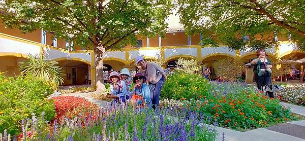 line_84532910370720.jpg line_84532910370720.jpg