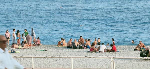 IMG_8836.JPG IMG_8836.JPG