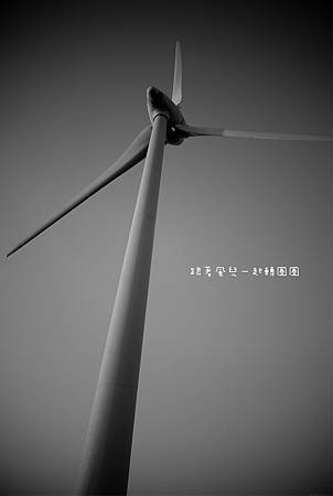 WIND-1