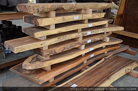 DSC_3911.JPG DSC_3911.JPG