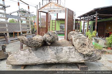 DSC_3956.JPG DSC_3956.JPG