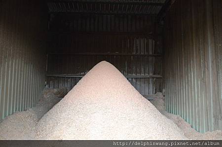 DSC_4010.JPG DSC_4010.JPG