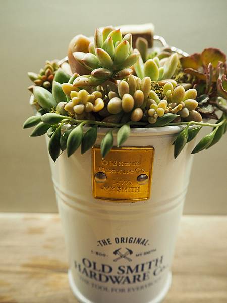 P1041532.JPG P1041532.JPG