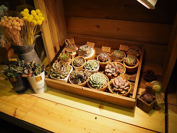 P2061776.JPG P2061776.JPG