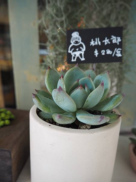 P2141829.JPG P2141829.JPG