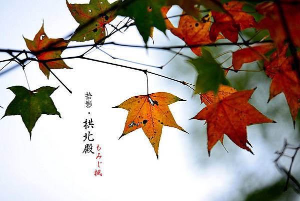 15878958689_79151be350_c