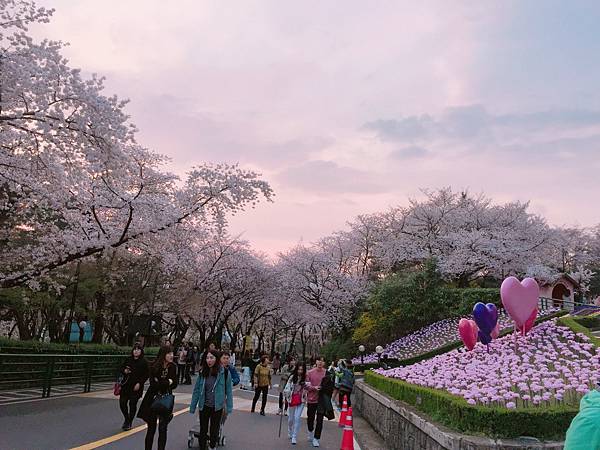 韓國自由行 首爾逛街 大邱看櫻花 春川腳踏車 景福宮韓服