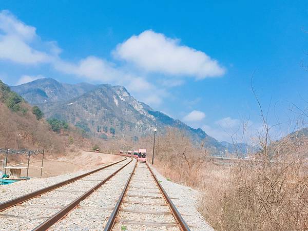 韓國自由行 首爾逛街 大邱看櫻花 春川腳踏車 景福宮韓服