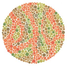 5619806_ori.gif 5619806_ori.gif