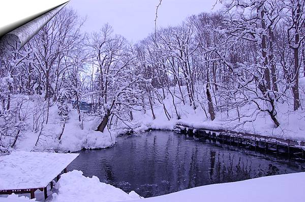 DSC_0025.JPG DSC_0025.JPG