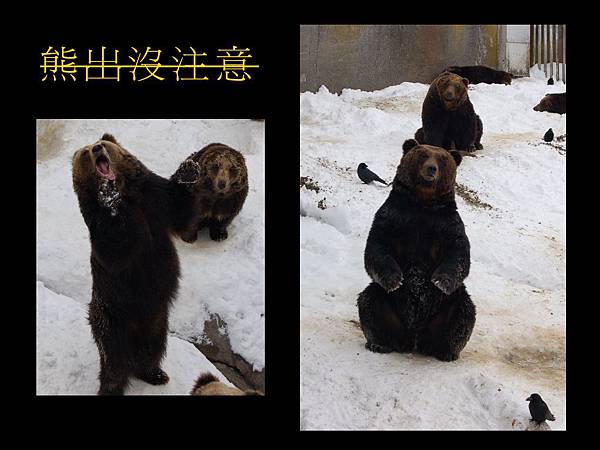 未命名 - 45.jpg 未命名 - 45.jpg