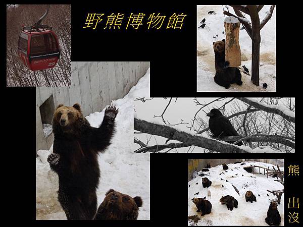 未命名 - 47.jpg 未命名 - 47.jpg