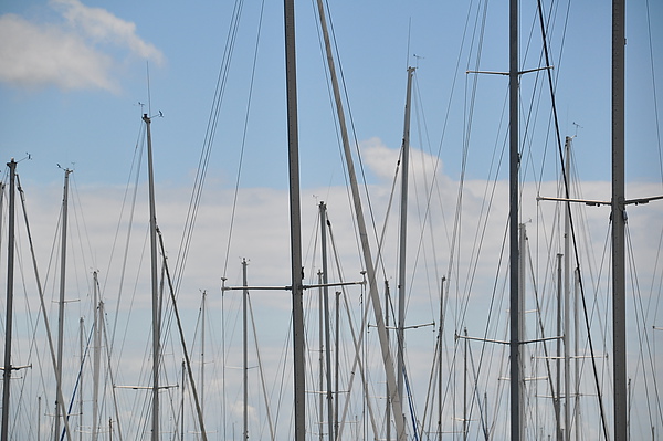 DSC_1217.JPG DSC_1217.JPG