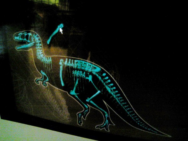 其實，這隻恐龍應該頭上也有三條線= =|||