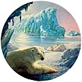 Polar Bear Glacier