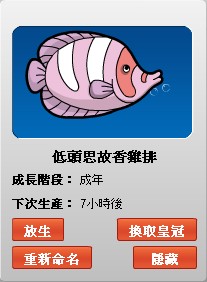 fish14.jpg