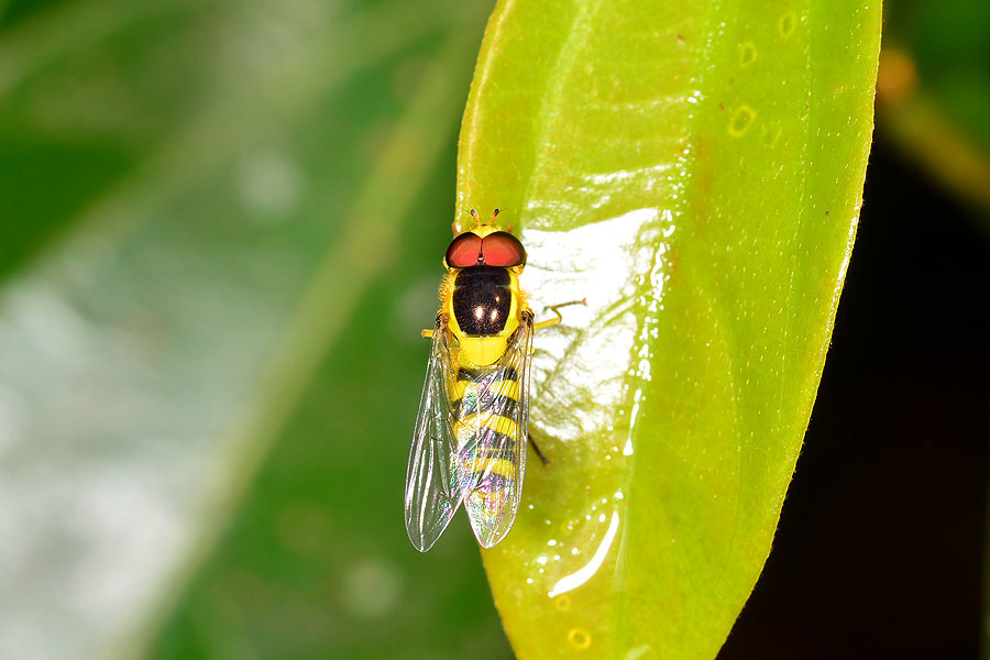 DSC_8338.JPG DSC_8338.JPG