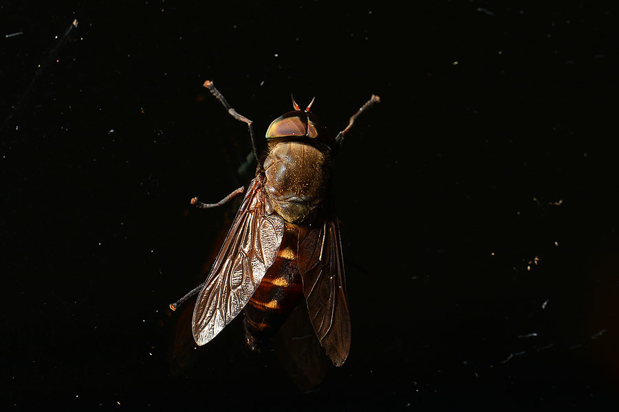 DSC_9049.JPG DSC_9049.JPG