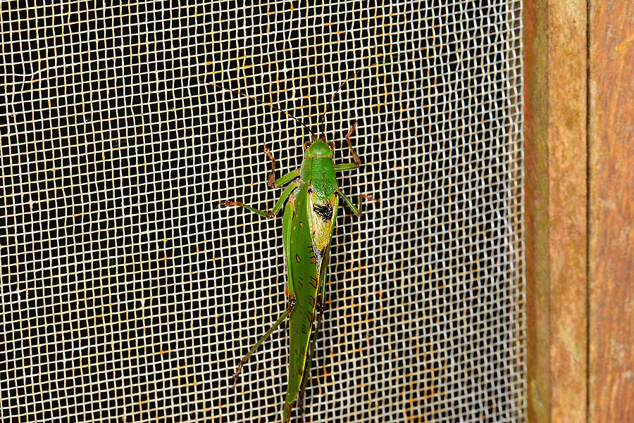 DSC_0714.JPG DSC_0714.JPG