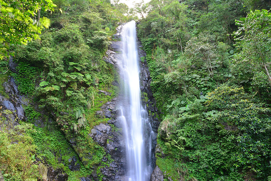 DSC_5339.JPG DSC_5339.JPG