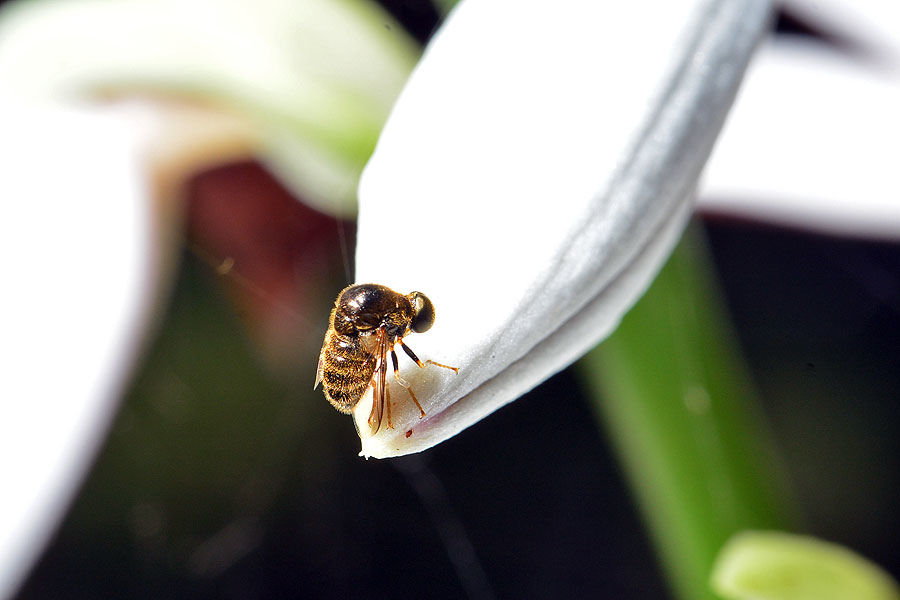 DSC_0104.JPG DSC_0104.JPG