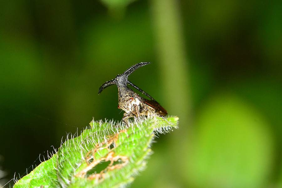 DSC_0199.JPG DSC_0199.JPG