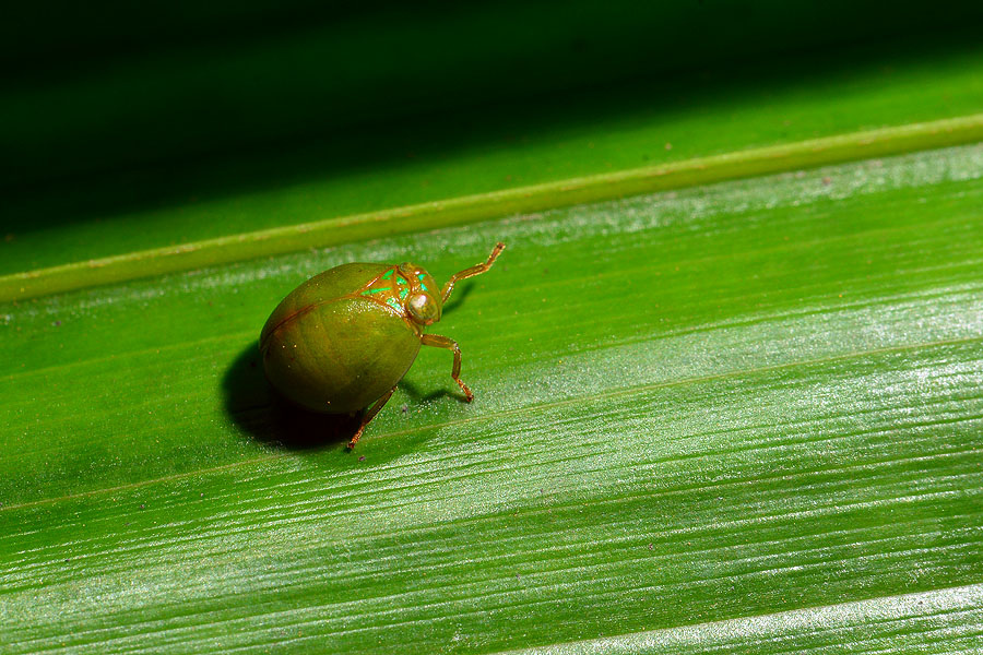 DSC_7649.JPG DSC_7649.JPG