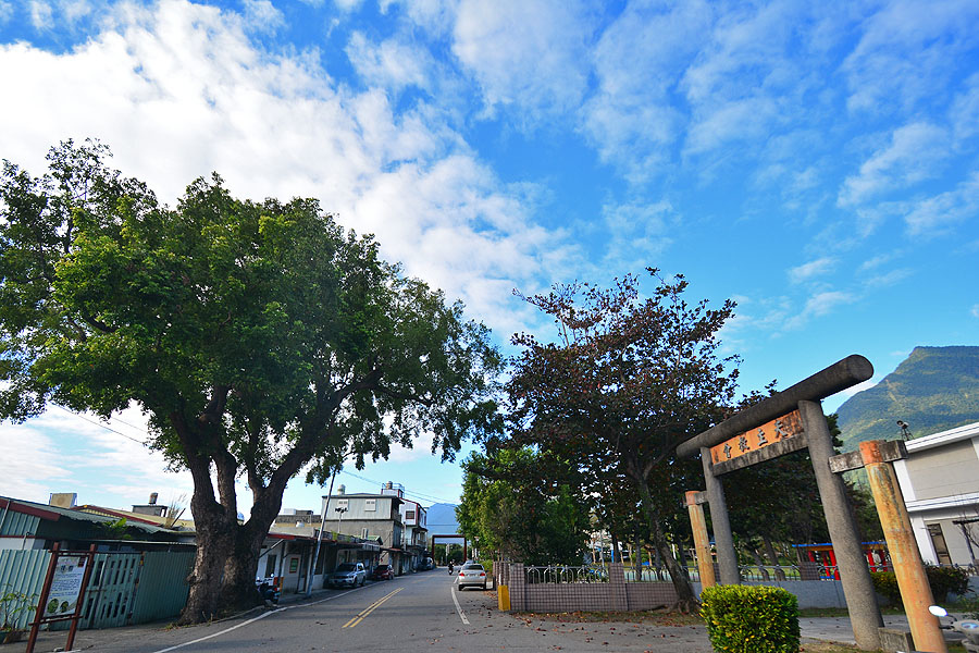 DSC_8228.JPG DSC_8228.JPG