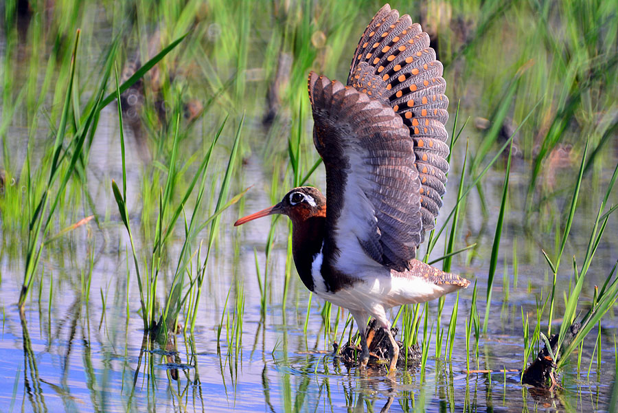 DSC_6845.JPG DSC_6845.JPG