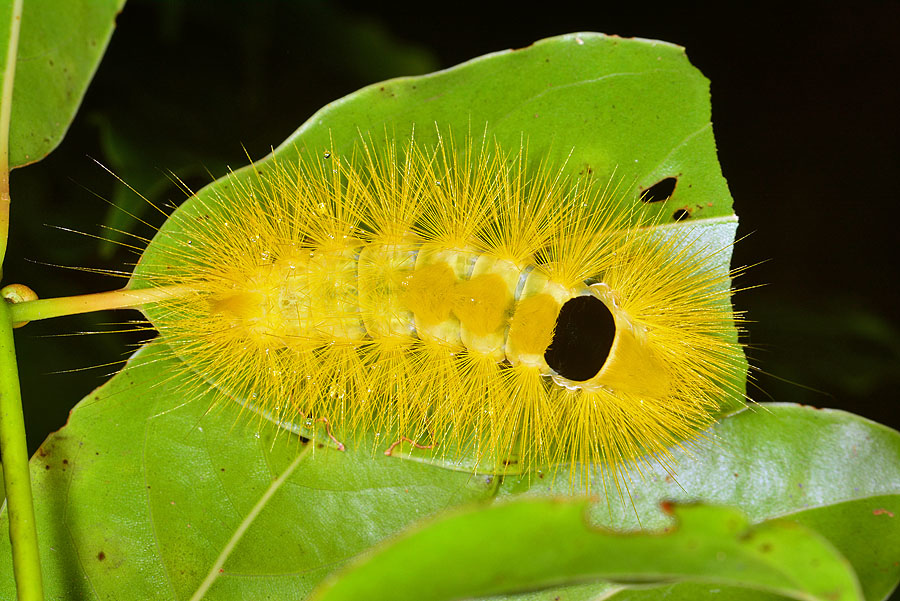 DSC_8930.JPG DSC_8930.JPG