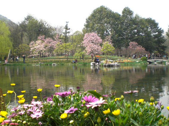 百花水岸