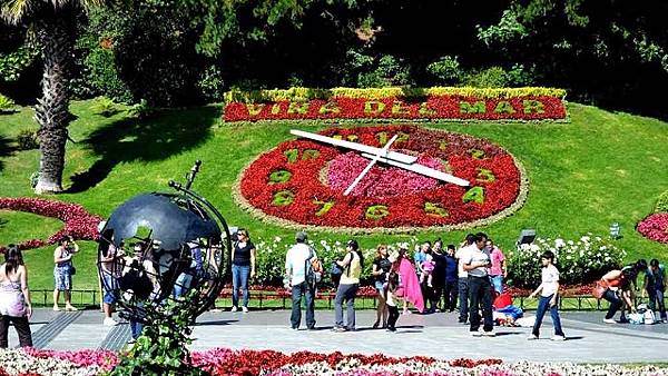 via-del-mar-reloj-de-flores-de778214-2194-4a43-9d86-8c8f59c04ca1-1280x720.jpg