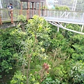 Birdpark3.JPG