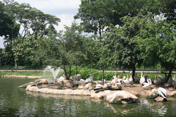 Birdpark7.JPG