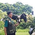 Birdpark8.JPG