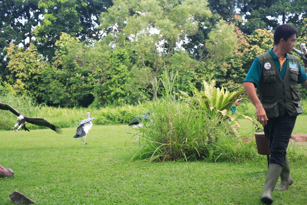 Birdpark9.JPG