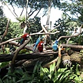 Birdpark18.JPG
