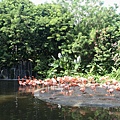 Birdpark17.JPG