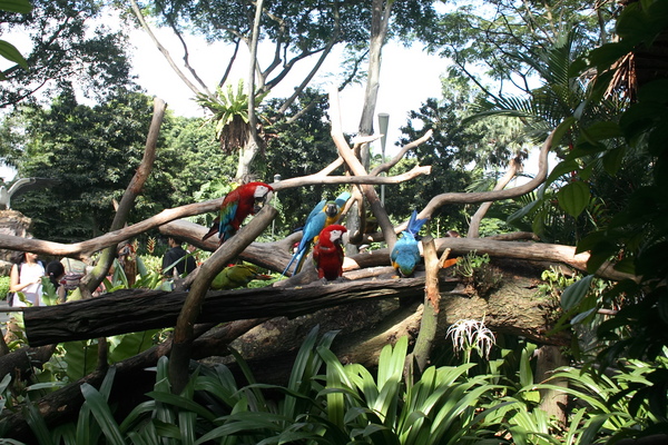 Birdpark18.JPG