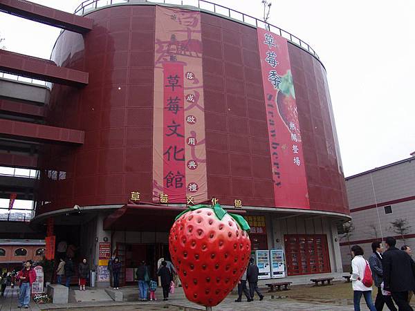 DSC07567