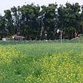 DSC07626