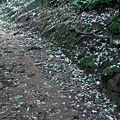DSC07751.JPG