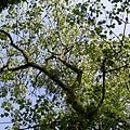 DSC07790.JPG