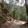 DSC08858.JPG