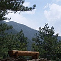 DSC08861.JPG