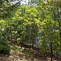 DSC08874.JPG