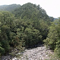 DSC08890.JPG