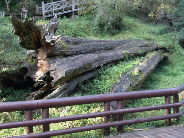 DSC00665.JPG